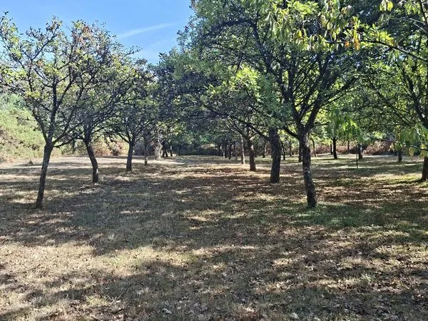 Terrain 16669 m² Nivillac