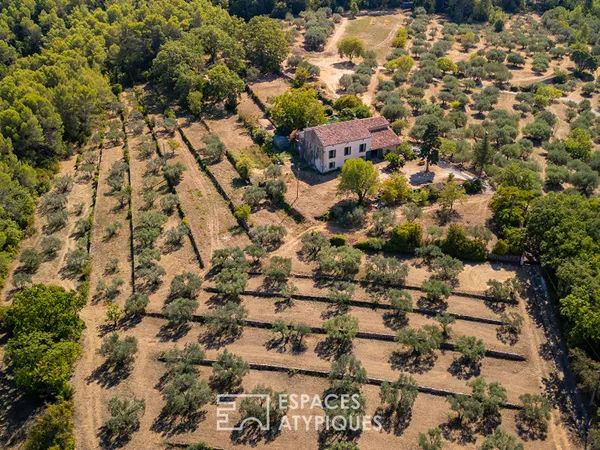 Propriété historique du 15e siècle et son domaine oléicole