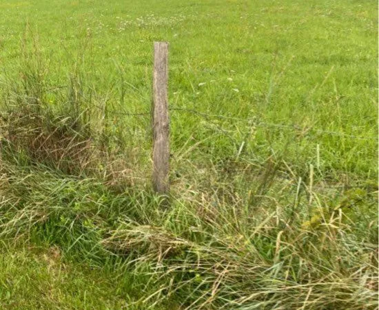 Terrain constructible