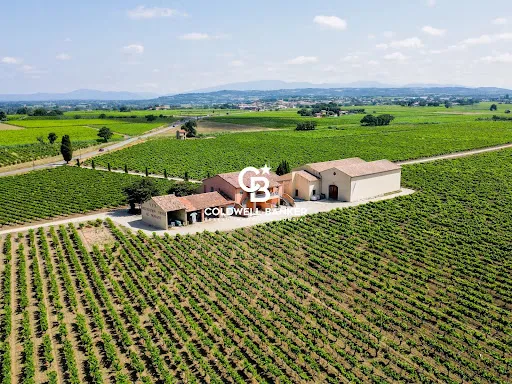 Vignoble 750000 m²