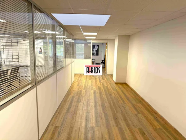 Local professionnel 246 m²