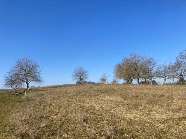 Terrain en individuel 734 m²