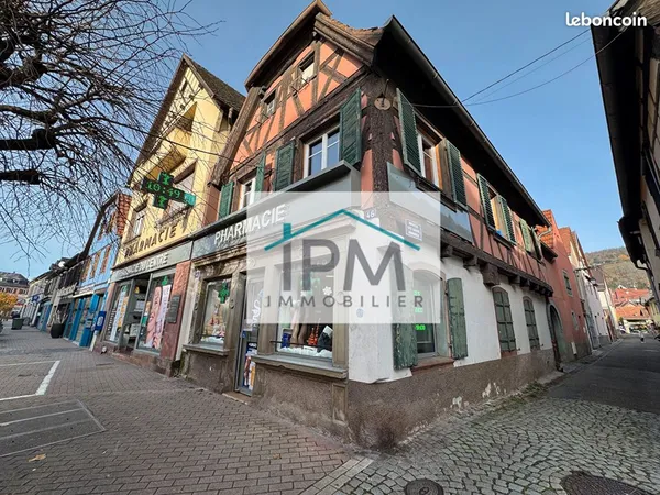 Maison 12 pièces 357 m²