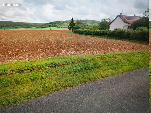 Terrain 1 500 m² Buffon