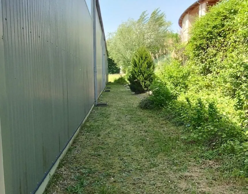 Photo 4