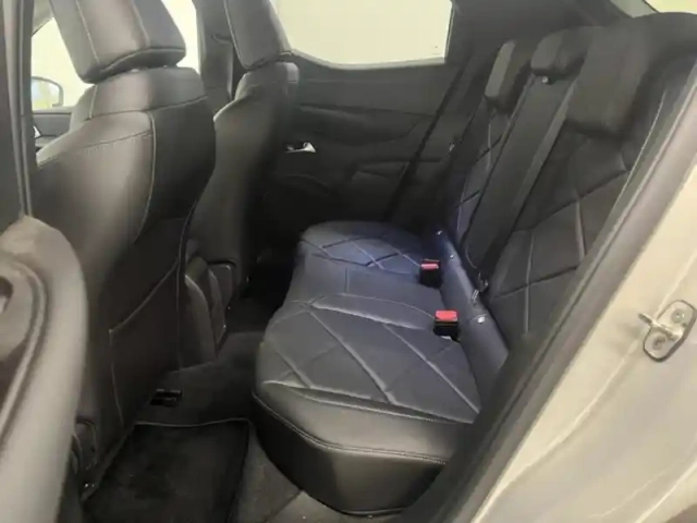 Ds Ds 3 crossback e-tense connected chic — photo 13