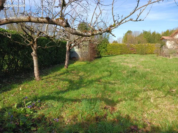 Terrain constructible
