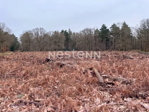 Terrain à Molac ? Parcelle défrichée idéale loisirs & apiculture ? 8 980 m²