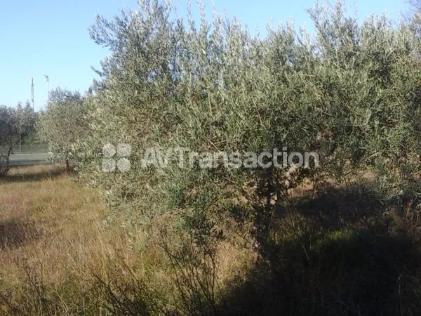 beau terrain constructible 600 m2
