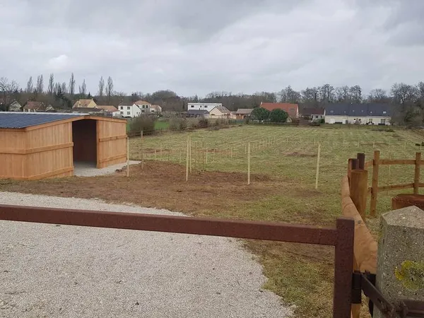 Terrain 10000 m²