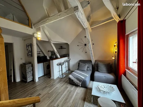Magnifique Duplex Meublé au coeur des Halles de Tours
