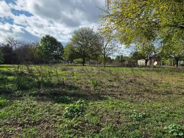 Terrain 3846 m²