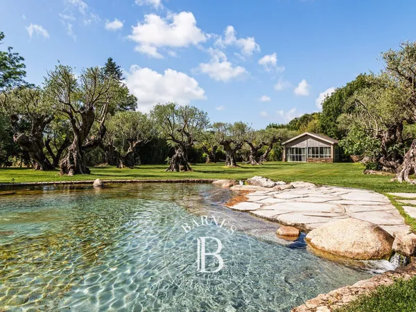 GOLFE DE SAINT-TROPEZ - GASSIN - VILLA 5 CHAMBRES - PISCINE NATURELLE