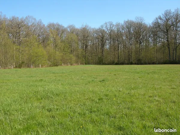Terrain agricole / herbage / pré / non constructible - idéal chevaux - 7 398 m²