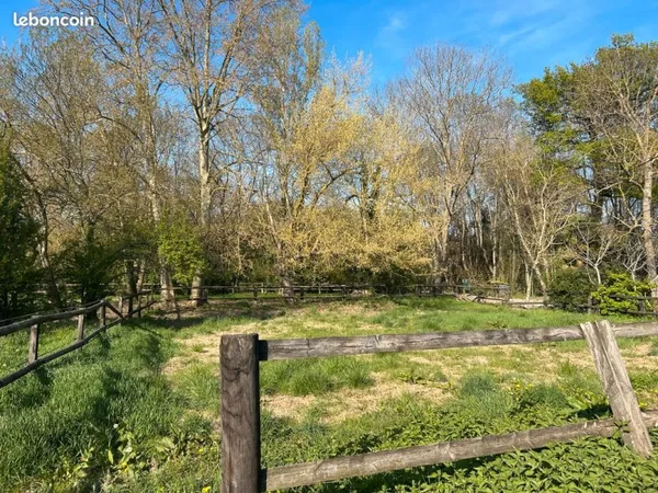 Balma, terrain arboré de 1000 m2