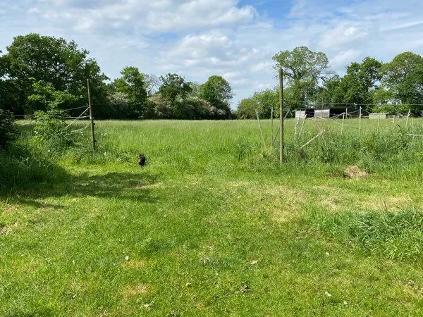 Propriété de 7000m2 en campagne