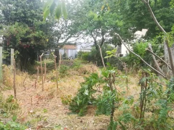 Terrain 373 m²