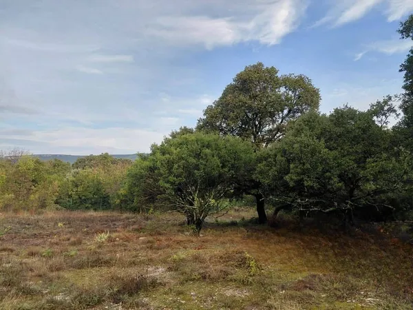 Terrain 1700 m²