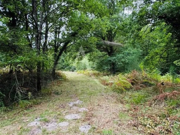 Propriété de loisirs 50940 m²