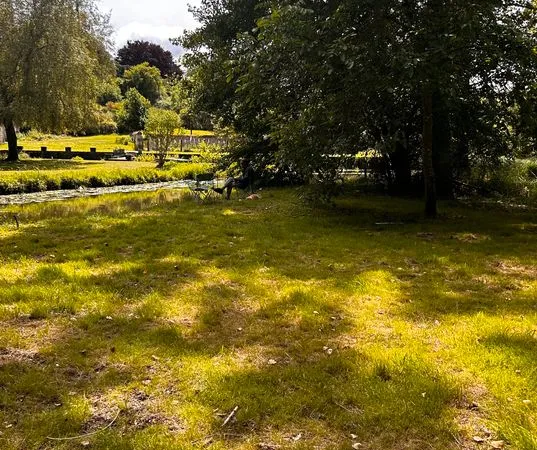 Terrain de loisirs rare en bord de Cisse - Saint-Lubin-en-Vergonnois