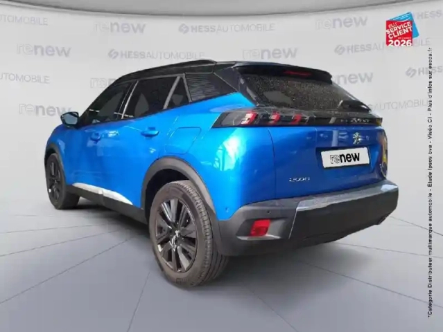 Peugeot 2008 1.5 bluehdi 130ch s&amp;s gt eat8 125g — photo 8