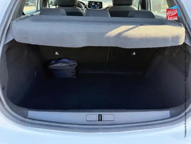Peugeot 208 1.5 bluehdi 100ch s&amp;s active — photo 14