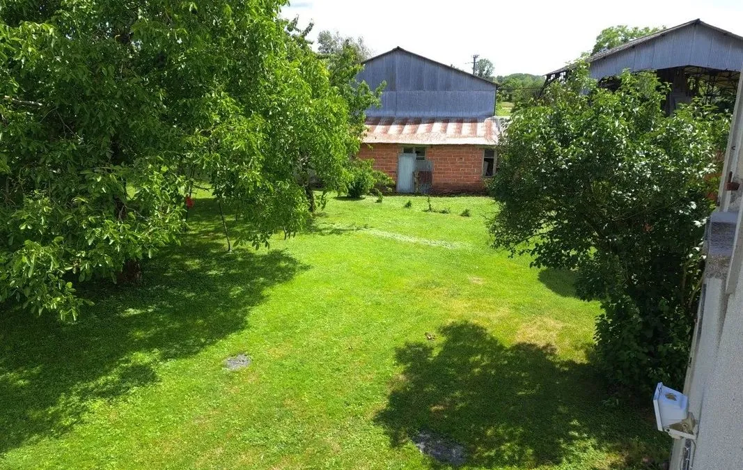 Photo 12