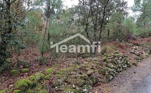 Terrain 14279 m²