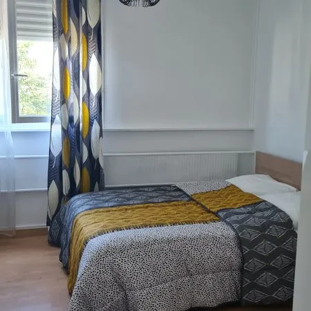 Colocation meublée pour étudiants proche Cours Fauriel, Métare, ISTP, Ecole des mines, Fac Sciences