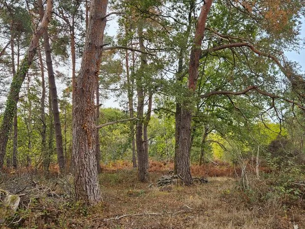 Terrain de loisirs