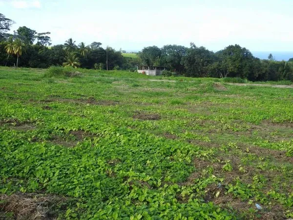Terrain constructible 824 m²