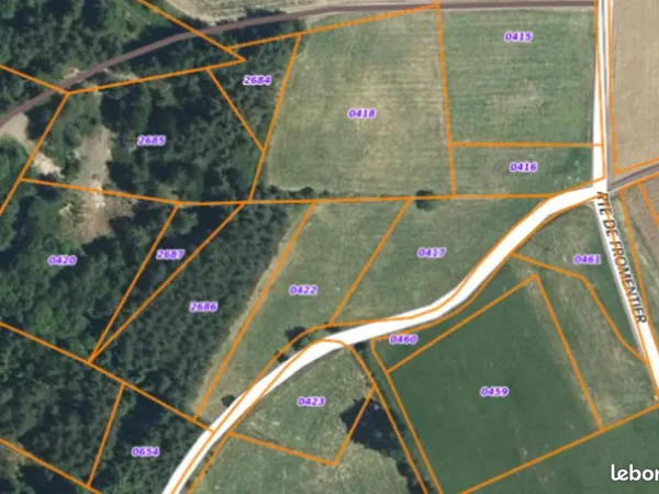 Parcelle de bois usson-en-forez