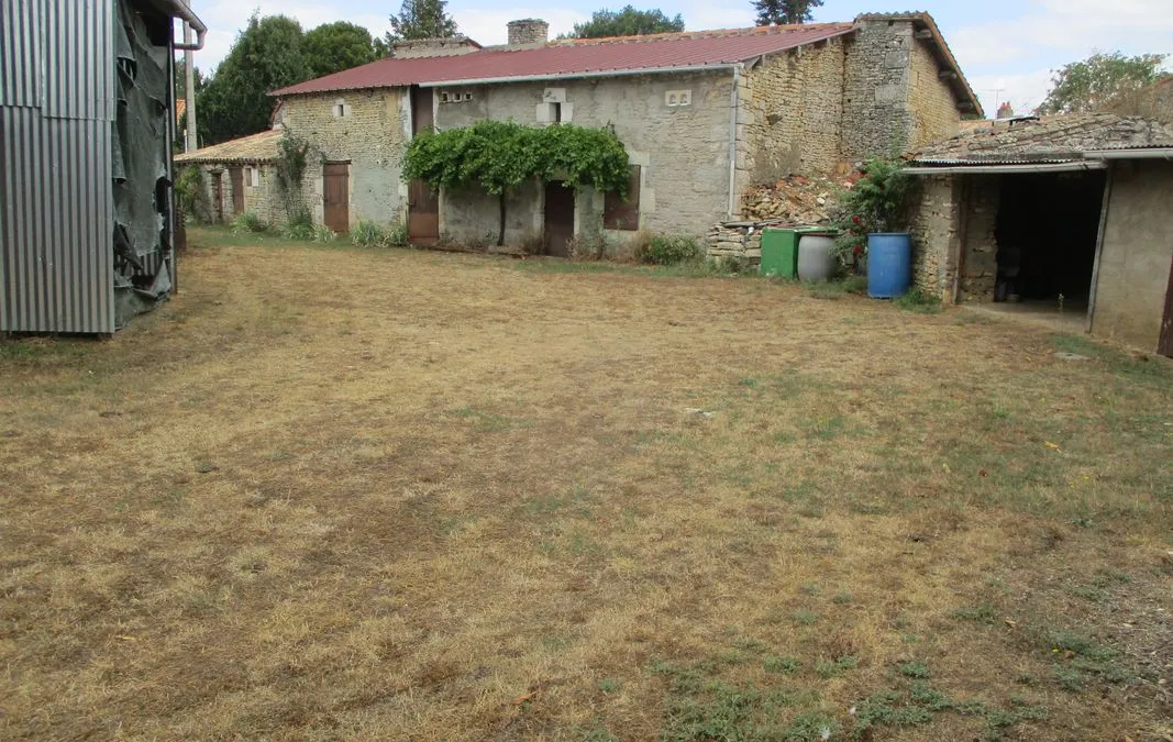 Photo 4