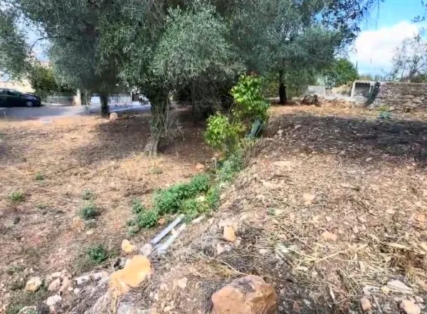 Terrain en individuel 688 m²