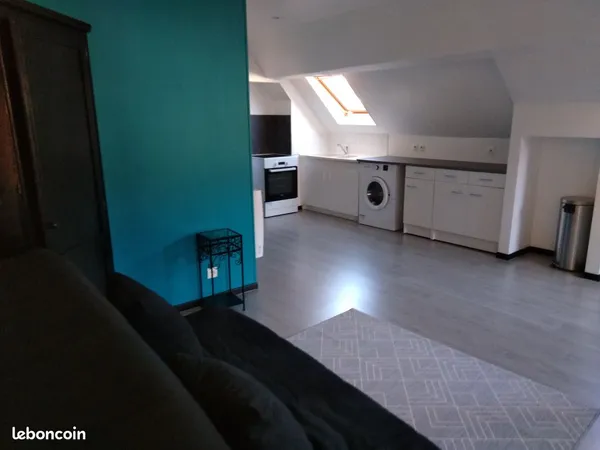 Grand studio meublé de 33m2