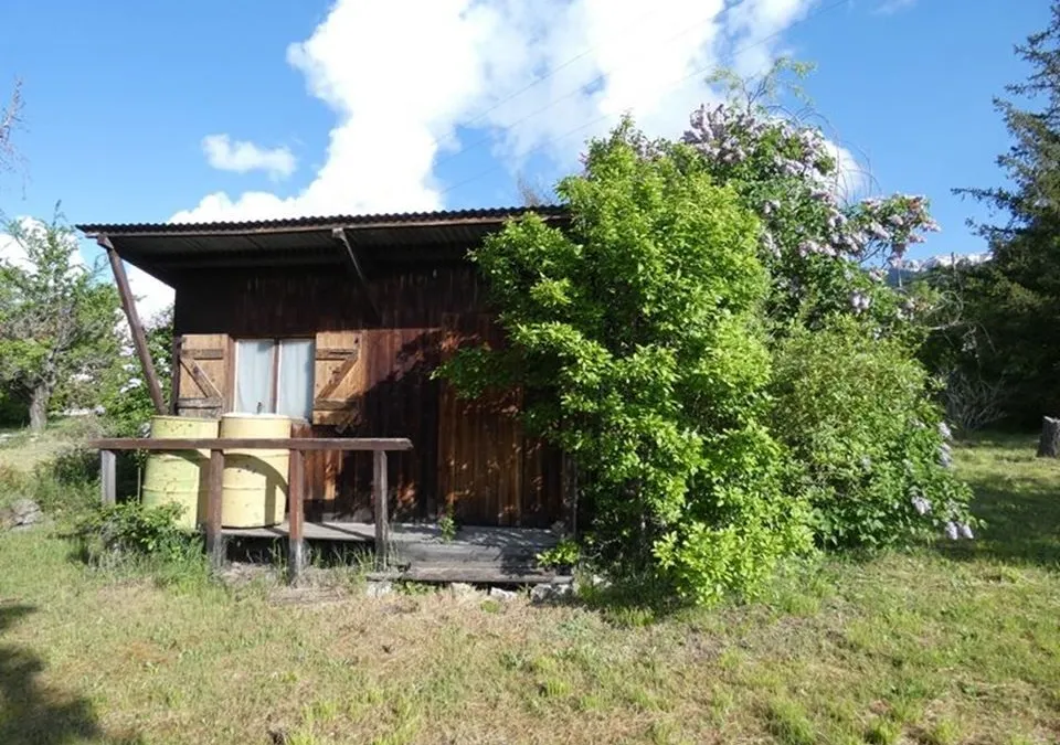 Photo 4