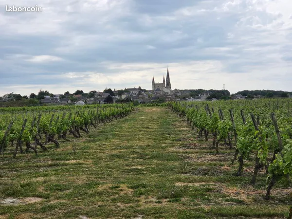 Domaine viticole modulable