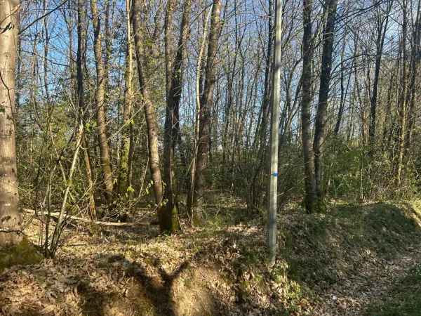 Terrain 16366 m²