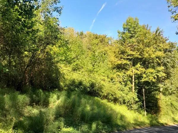 Pour investisseur deux terrains de 1000m²