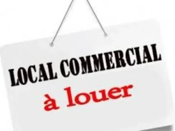Local professionnel 73 m²