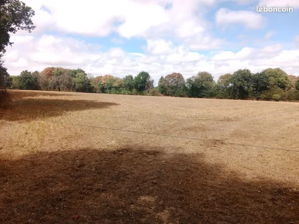 Vente terrain agricole