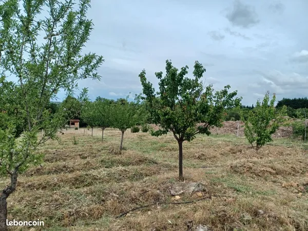 Terrain agricole 6700m2