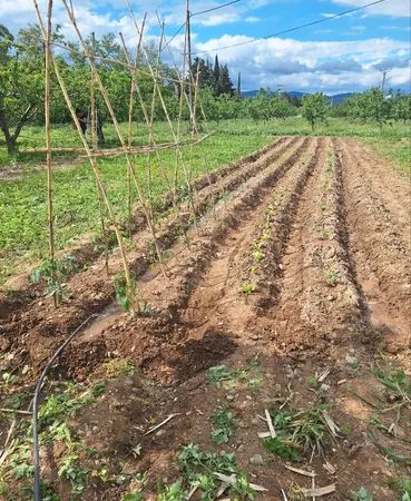 Location jardins potager