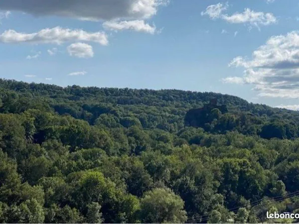 Ensemble immobilier avec vue dominante: maison sur terrain arboré 1517 m2 + terrain constructible 19