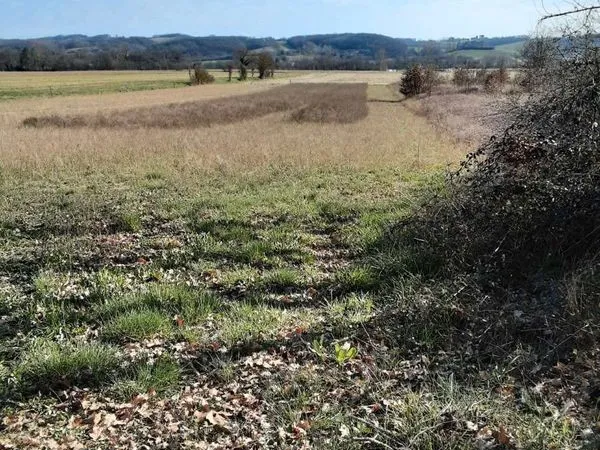 Terrain à loisir