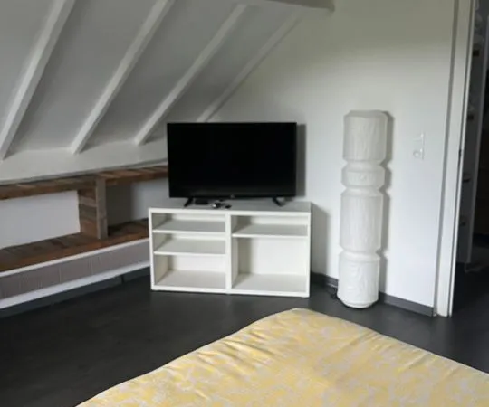 Chambre de 15m2 à louer sur Le Mans