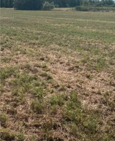 Terrain agricole 10350m2 à louer