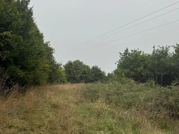 Pré prairie à louer