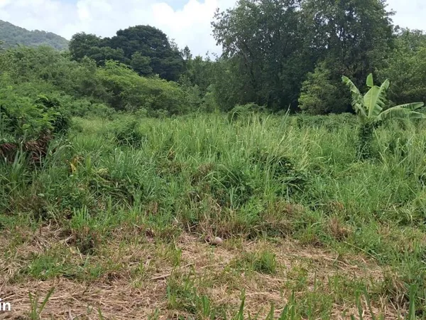 Terrain 1 209 m² Trois Rivieres