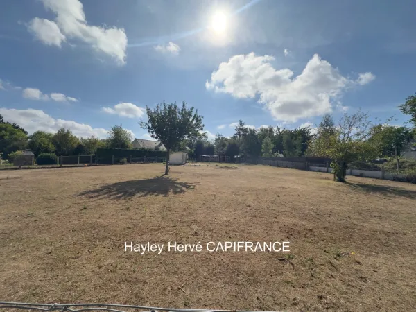 Terrain 1331 m²